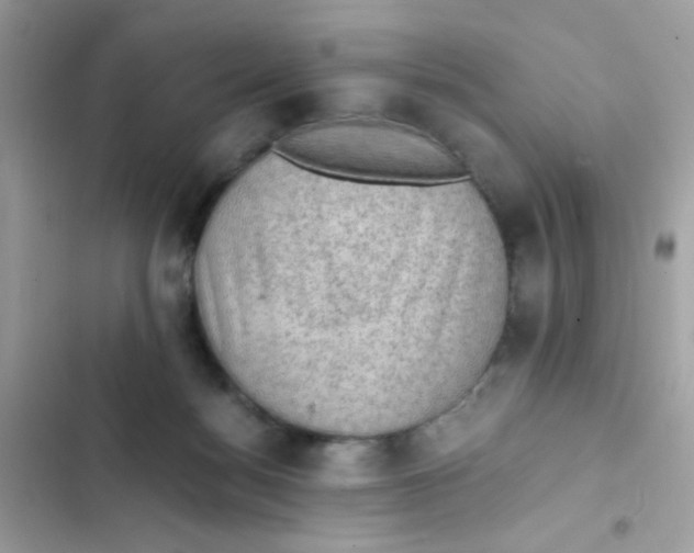 X0000103160172200809192102