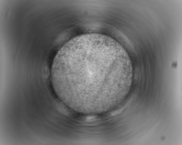 X0000103160173200809192102
