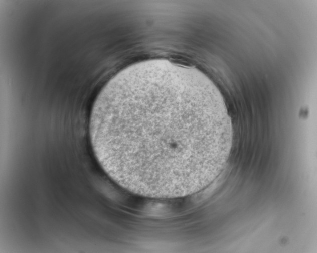 X0000103160174200809192102