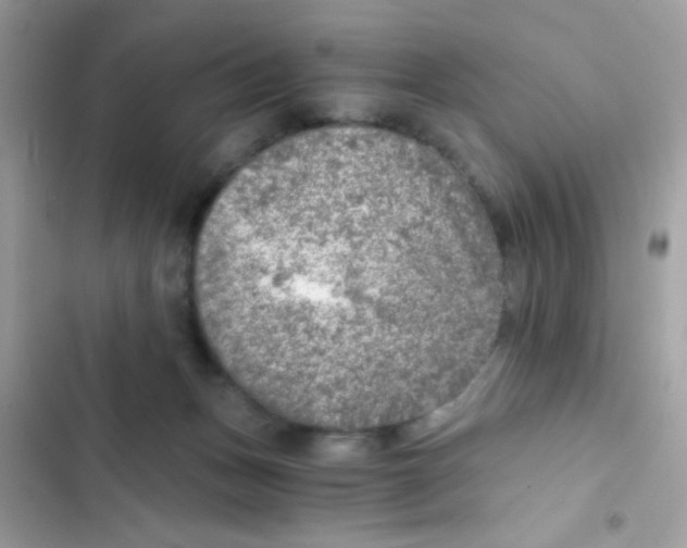 X0000103160175200809192102
