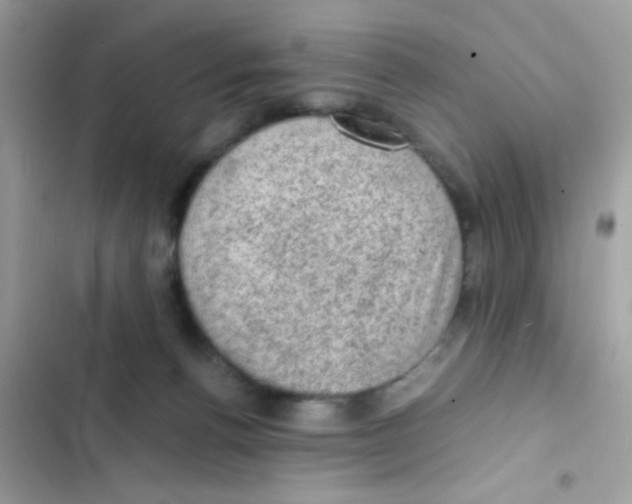 X0000103160176200809192102