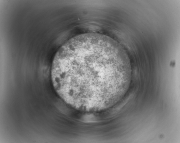 X0000103160177200809192102
