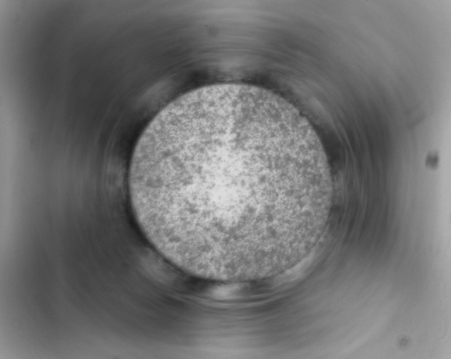 X0000103160178200809192102
