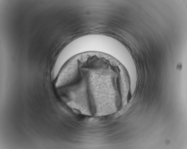 X0000103160180200809192102
