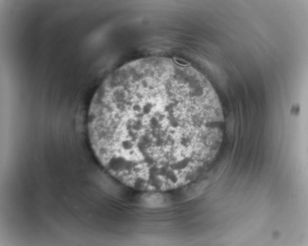 X0000103160181200809192102