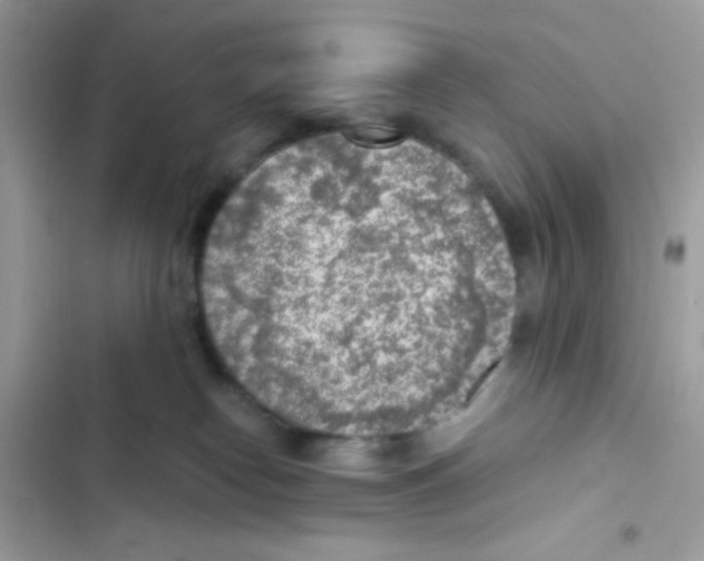 X0000103160182200809192102