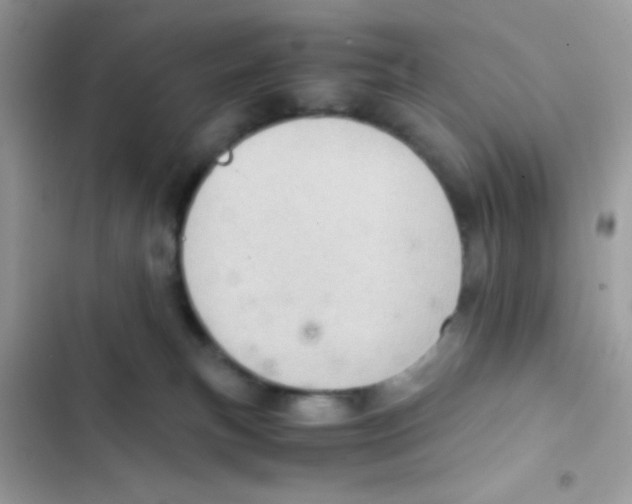 X0000103160183200809192102