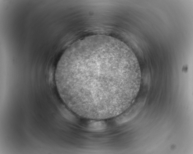 X0000103160185200809192102