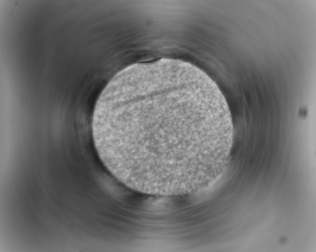 X0000103160186200809192102