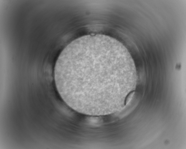 X0000103160187200809192102
