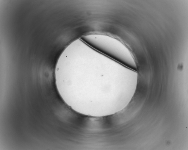 X0000103160188200809192102