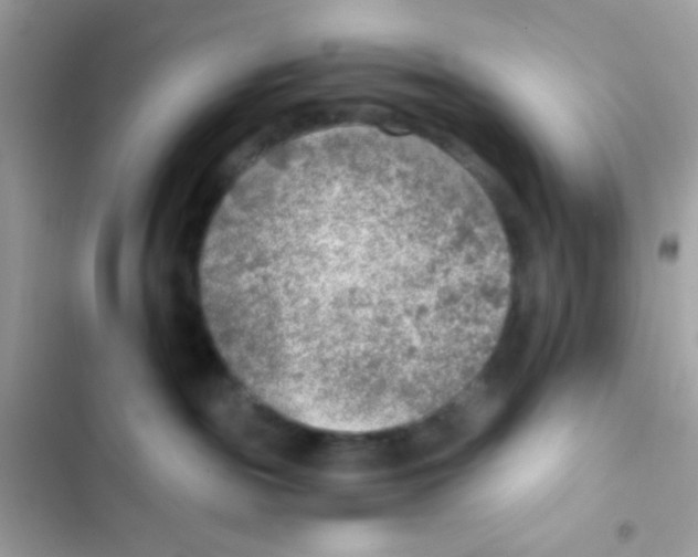 X0000103160189200809192102