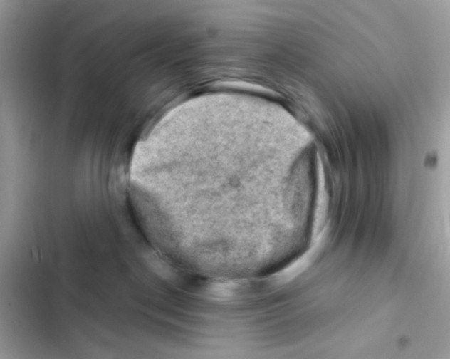X0000103160190200809192102