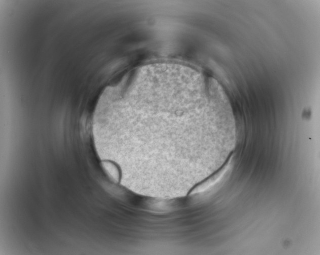 X0000103160191200809192102