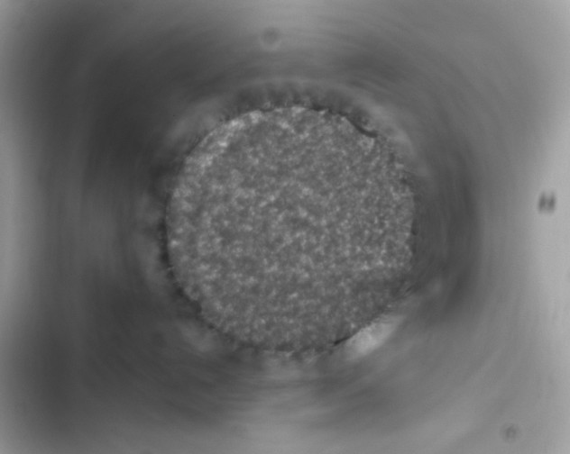 X0000103160192200809192102