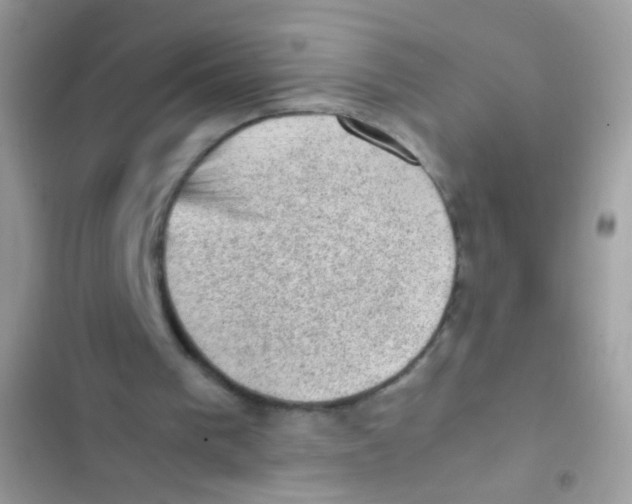 X0000103160193200809192101