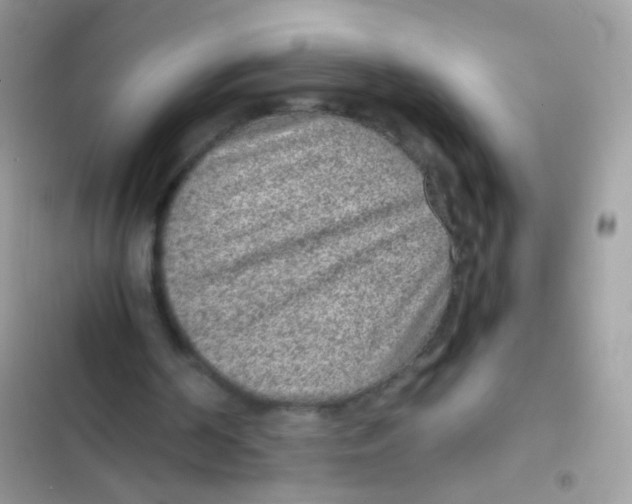 X0000103160194200809192101