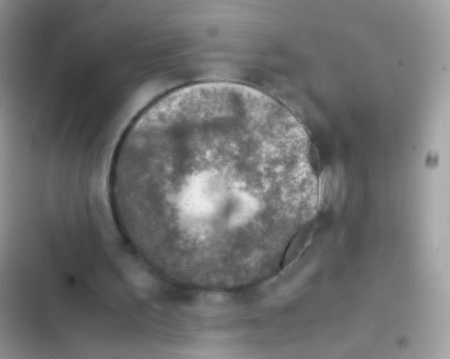 X0000103160195200809192101
