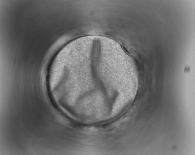 X0000103160197200809192101