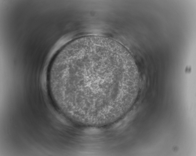 X0000103160198200809192101