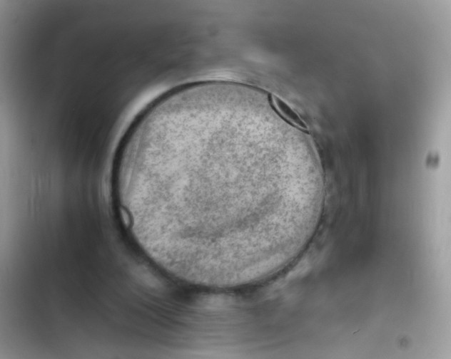 X0000103160200200809192101