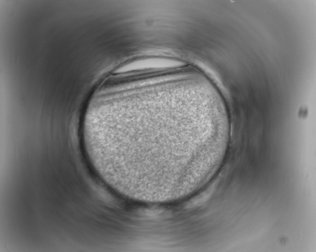 X0000103160201200809192101
