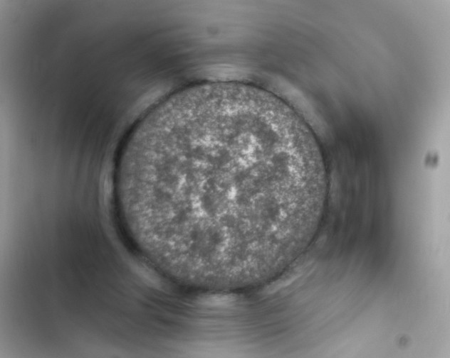 X0000103160202200809192101