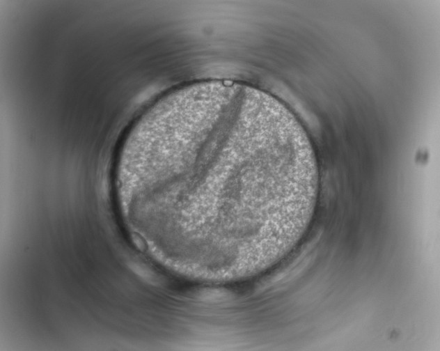 X0000103160203200809192101