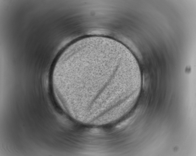 X0000103160204200809192101