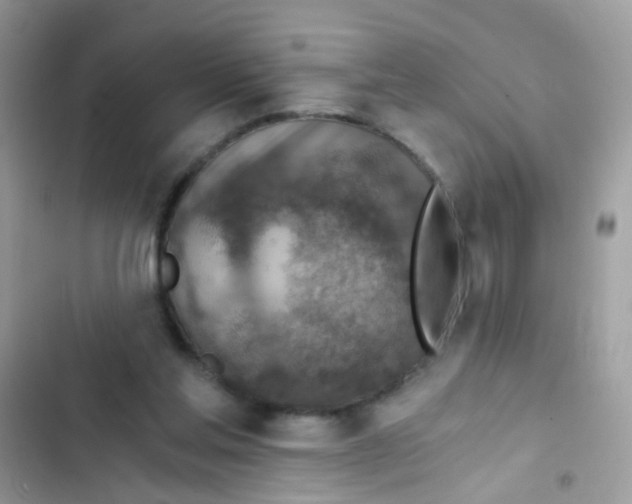 X0000103160205200809192101