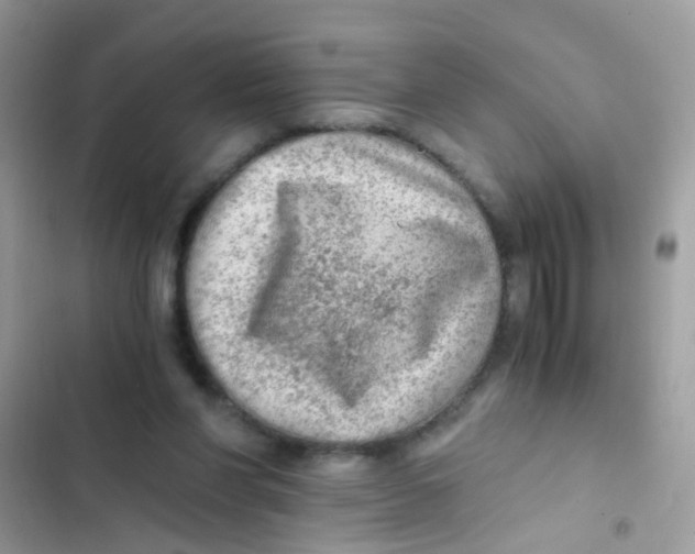 X0000103160206200809192101