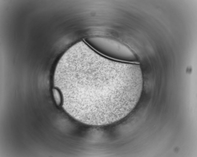 X0000103160207200809192101