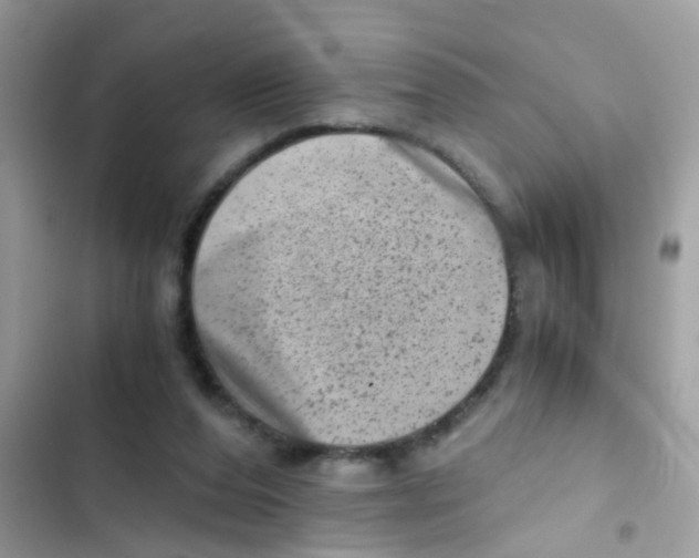 X0000103160208200809192101