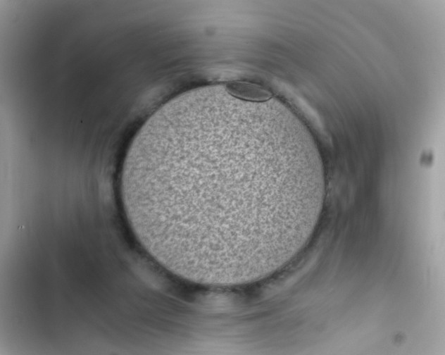 X0000103160209200809192101