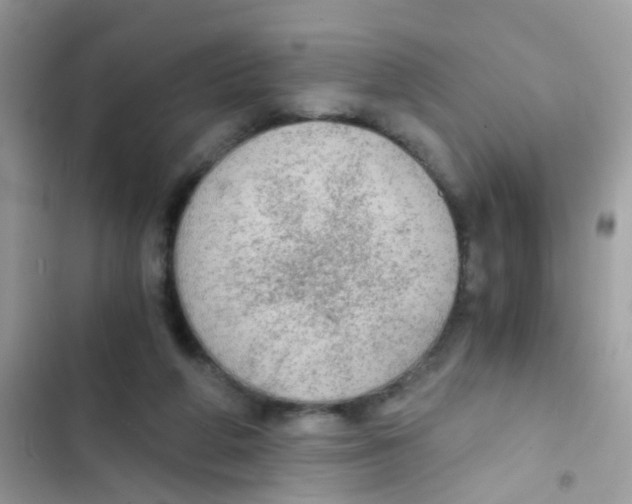X0000103160210200809192101
