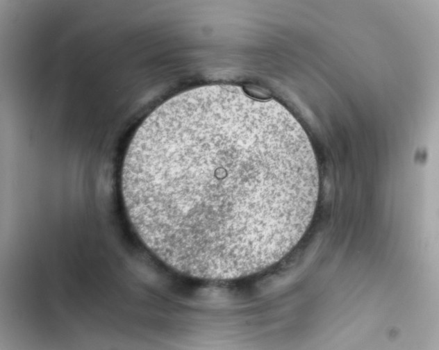 X0000103160211200809192101