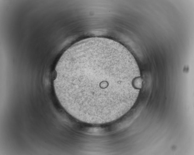 X0000103160212200809192101