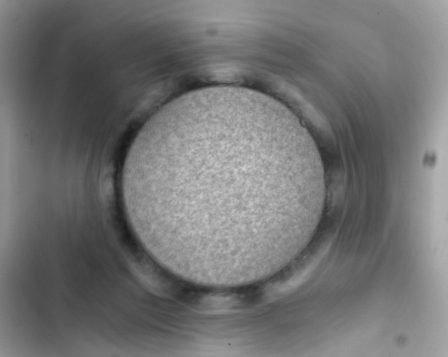 X0000103160213200809192101