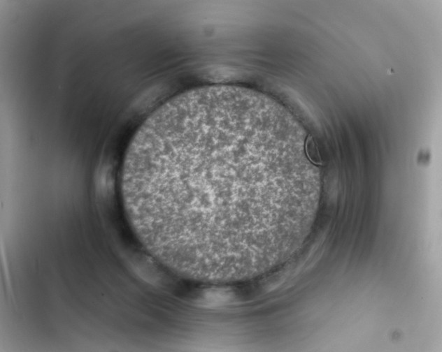 X0000103160214200809192101