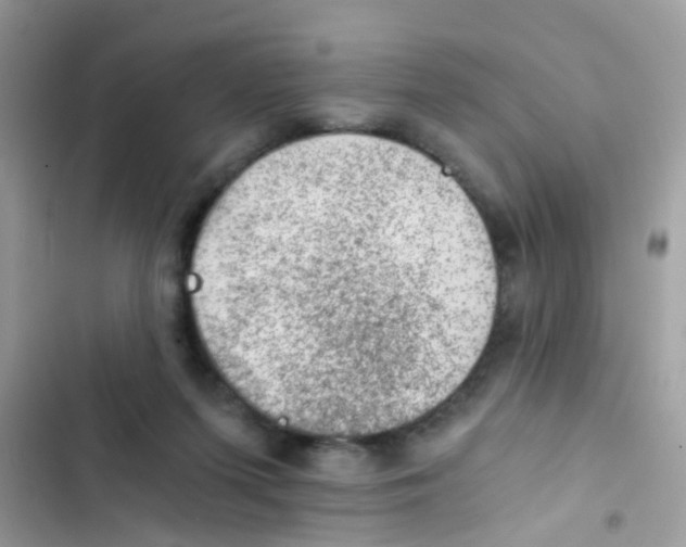 X0000103160215200809192101