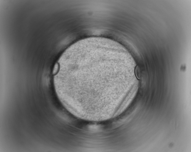 X0000103160216200809192101