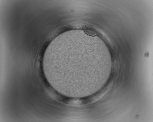 X0000103160217200809192101