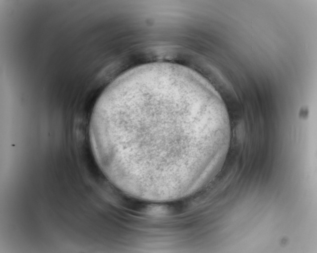 X0000103160218200809192101