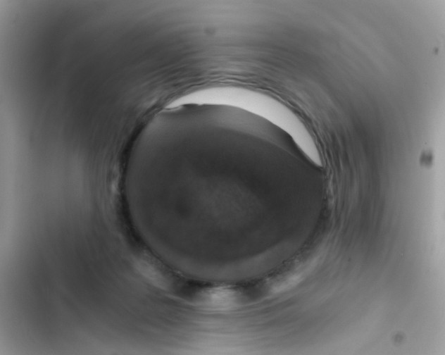 X0000103160219200809192101