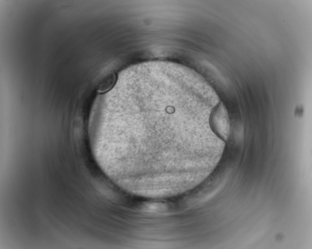X0000103160220200809192101