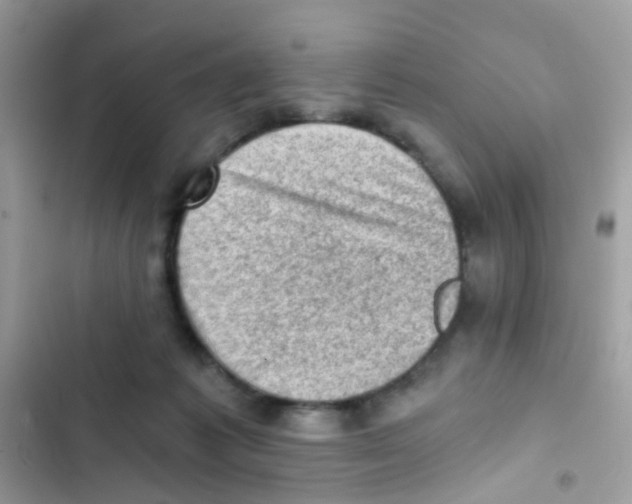 X0000103160221200809192101