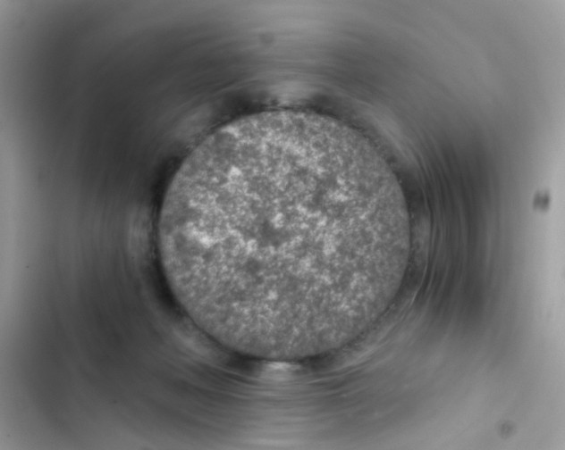 X0000103160222200809192101
