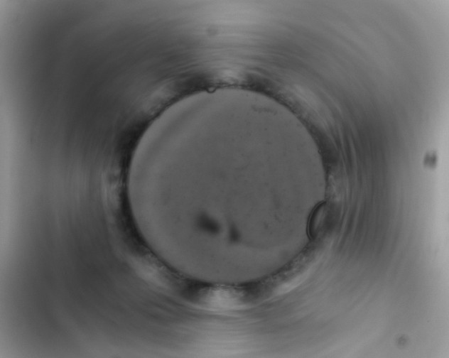 X0000103160223200809192101