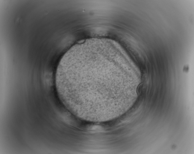 X0000103160224200809192101
