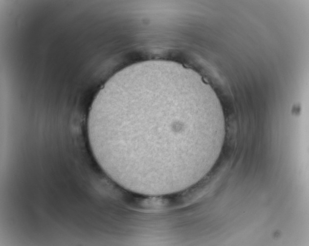 X0000103160225200809192101